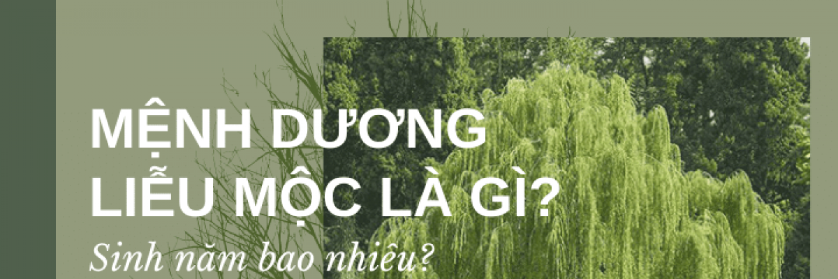 Hinh anh cay duong lieu uon luon ben dong nuoc tuong trung cho menh Duong Lieu Moc 2003 theo phong thuy